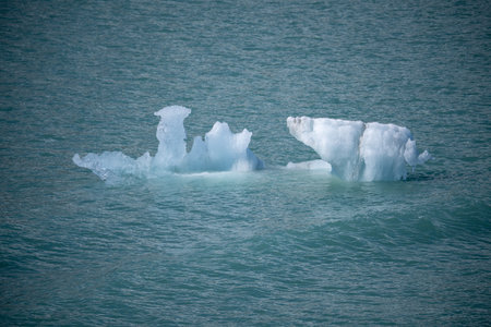 Icebergs drift calmly in the clear waters near Mendenhall Glacier.の写真素材