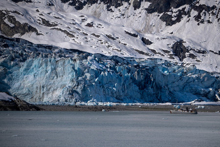 Icebergs drift in the waters as Mendenhall Glacier looms above.の写真素材
