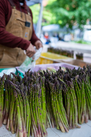 A vendor arranges freshly harvested asparagus for customers at a lively farmers market. The bright green stalks stand out among the colorful produce on a sunny day.の写真素材