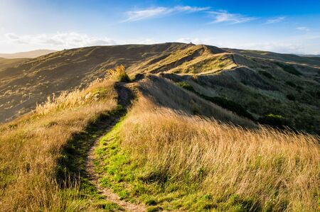 Hiking trail over hills of Castlepoint, Wairarapa, New Zealand