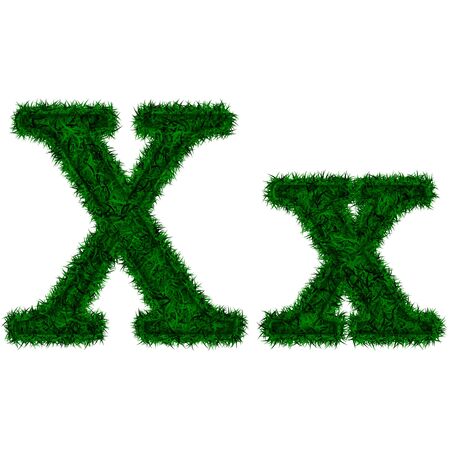 Alphabet symbol made of green grass isolated on whiteの写真素材