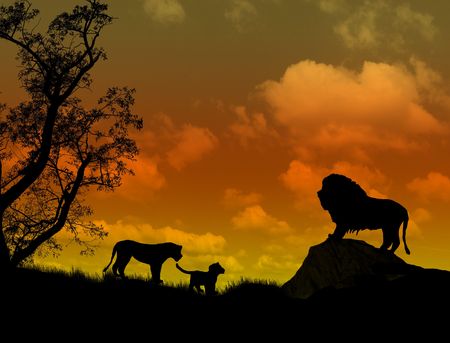 Lions on beautiful  sunset landscape . Background illustrationの写真素材