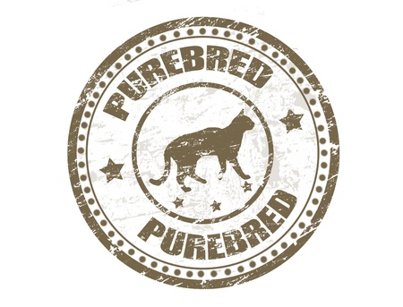 Grunge rubber stamp with cat silhouette and the word purebred written inside the stampのイラスト素材