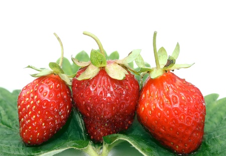 Strawberries isolated over white backgroundの写真素材