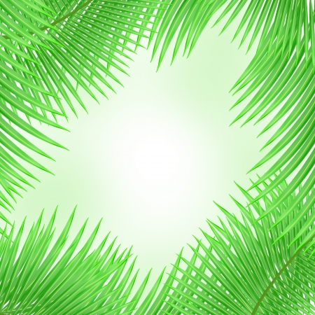 Tropical background with palm leafs and space for your textのイラスト素材