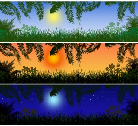Tropical landscape banners. Day, sunset and night
のイラスト素材