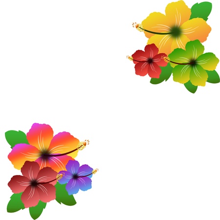 Hibiscus floral frame on white background with space for your text, vector illustrationのイラスト素材