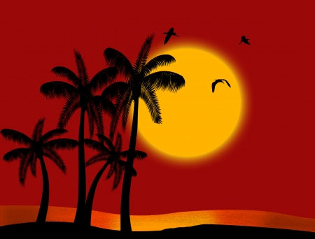 Sunset on tropical paradise with palm's silhouette and birdsのイラスト素材