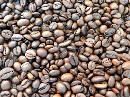 roasted coffee beans backgroundの写真素材