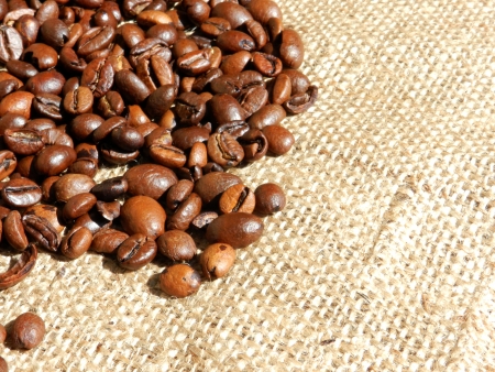 Coffee beans backgroundの写真素材