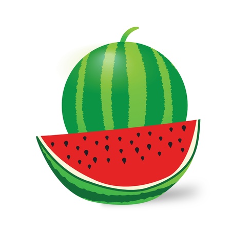 Watermelon and slice on white background, vector illustrationのイラスト素材