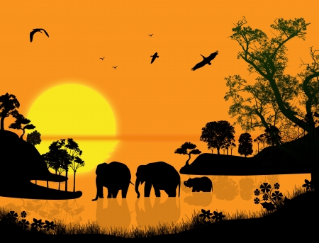 Elephants swims through the water at sunset, vector illustrationのイラスト素材