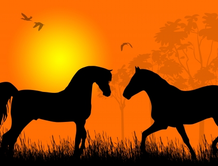 Two horses at sunset on beautiful landscape background illustrationのイラスト素材