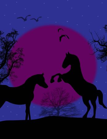 horses on beautiful night, background illustrationのイラスト素材