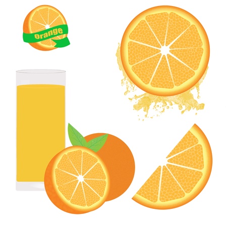 Orange set on white backgroundのイラスト素材