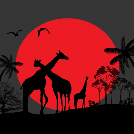 Giraffe family silhouettes in Africa wild nature landscape at night background,  vector illustrationのイラスト素材