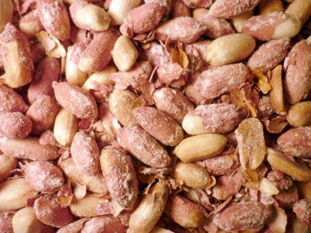 Salted peanut background textureの写真素材