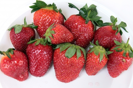 fresh strawberryの写真素材