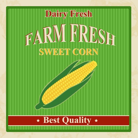 Vintage farm fresh sweet corn poster, illustrationのイラスト素材