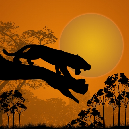 Silhouette view of tiger on a tree at beautiful sunset, vector illustrationのイラスト素材