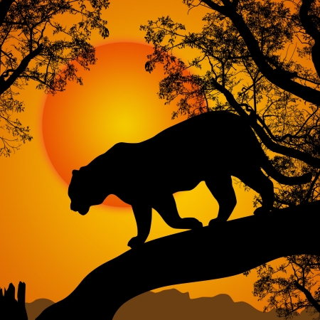 Silhouette view of tiger on a tree at beautiful sunset, vector illustrationのイラスト素材
