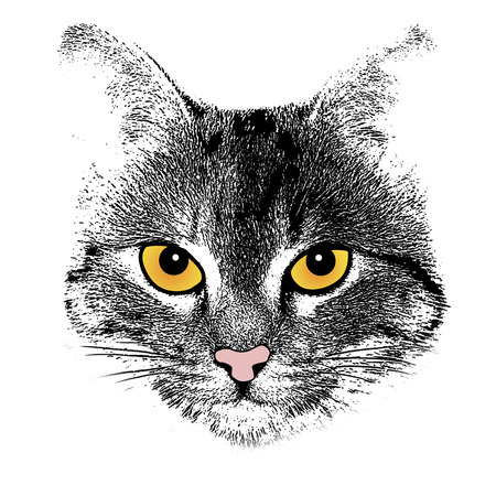 Grunge background with a stylized cat face theme, vector illustrationのイラスト素材
