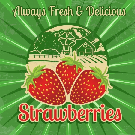 Vintage poster template for strawberries farm, vector illustrationのイラスト素材