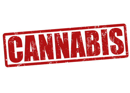 Cannabis grunge rubber stamp on white, vector illustrationのイラスト素材