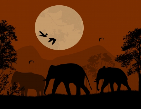 Wild elephants over red sunset, vector illustrationのイラスト素材