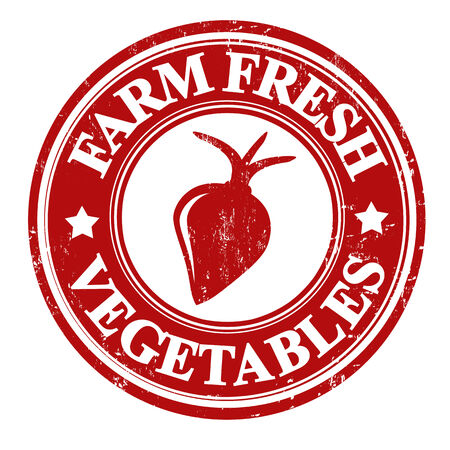 Radish vegetable grunge rubber stamp or label on white, vector illustrationのイラスト素材
