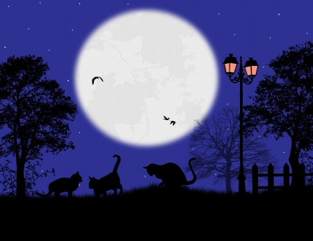 Fairy night background with cats on the garden, vector illustrationのイラスト素材