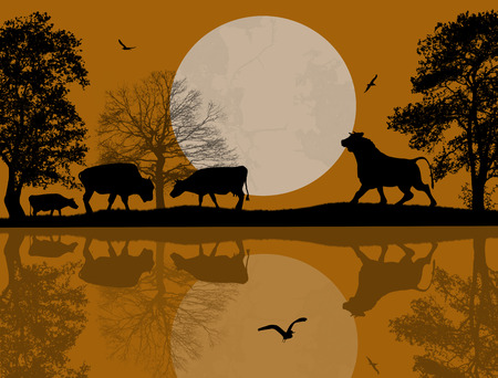 Bulls silhouette on beautiful landscape near waterのイラスト素材