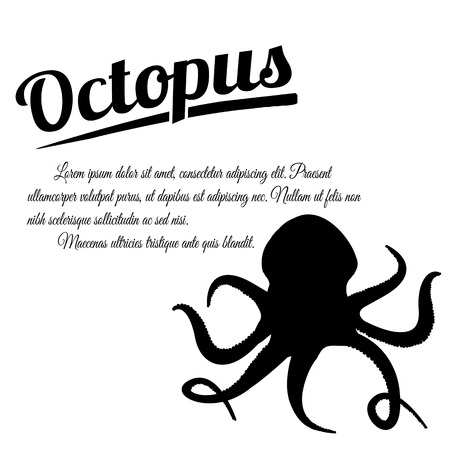 Octopus design poster on white background with space for your text, vector illustrationのイラスト素材