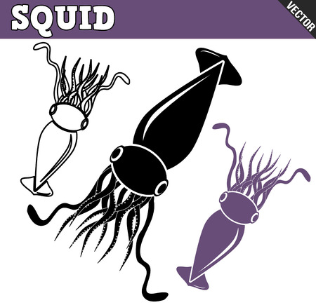 Squid set on white background, vector illustrationのイラスト素材