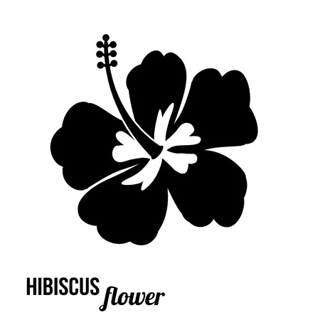 Hibiscus flower in black and white, vector illustrationのイラスト素材
