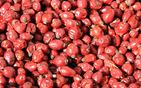 Rosehip dried for tea, backgroundの写真素材