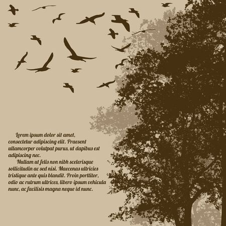 Beautiful forest trees with flying birds on retro style with space for your text, vector illustrationのイラスト素材