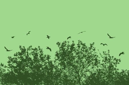 Tree and branches with flying birds on green with space for your text, vector illustrationのイラスト素材