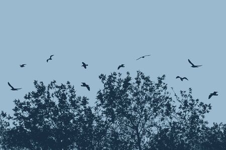 Tree and branches with flying birds on blue with space for your text, vector illustrationのイラスト素材