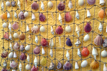 Shells hanging on the rope decoration in front of yellow wall background