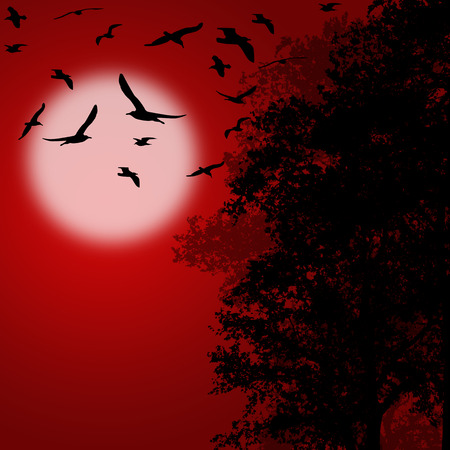 Beautiful forest trees with flying birds on red sunset, vector illustrationのイラスト素材