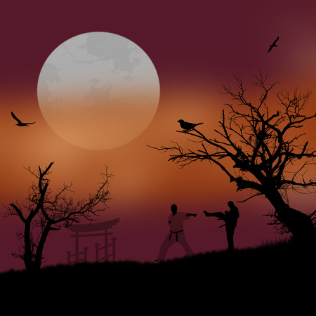 Karate in the beautiful asian landscape on red sunset, vector illustrationのイラスト素材
