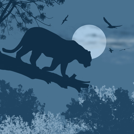 Silhouette view of panther on a tree against the moon at blue night, illustrationのイラスト素材