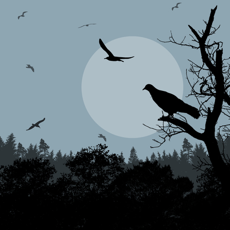 Bird on branch on blue evening against beautiful forest, vector illustrationのイラスト素材