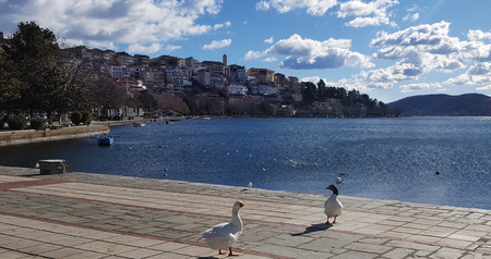 Scenic view of Kastoria town and the famous Orestiada lake in Greeceの写真素材