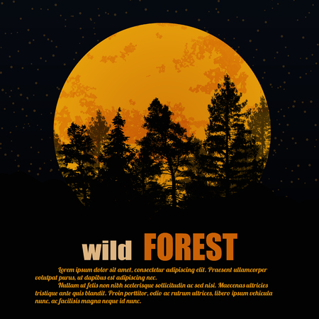 Wild forest poster. Coniferous forest silhouette background in front of full moon with space for your text, vector illustrationのイラスト素材