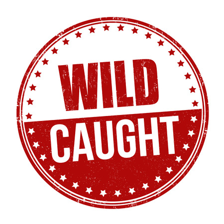 Wild caught sign or stamp on white background, vector illustrationのイラスト素材