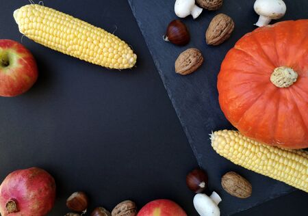 Autumn seasonal vegetables and fruits (pumpkin, apple, corn, mooshroom, nuts, chestnuts and pomegranate) on dark backgroundの写真素材