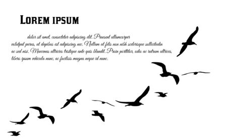 A flock of flying birds poster. Flying birds on white background with space for your text, vector illustrationのイラスト素材