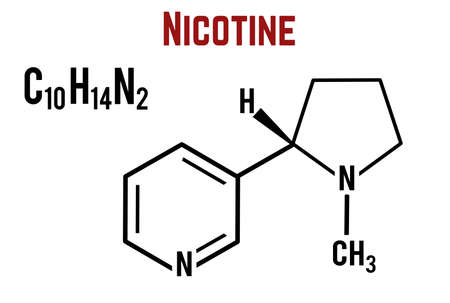 Nicotine molecular structural chemical formula on white background, vector illustrationのイラスト素材